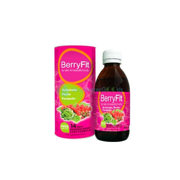 BerryFit v České republice